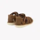 premiers_pas_pomdapi_waff-papy_camel-2