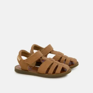 Solar Tonton - Camel